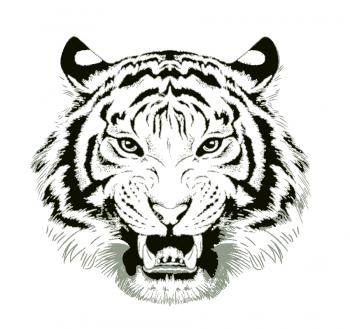 老虎图案-公开区-dfv印花设计网 ,因为热爱,更懂您的需求